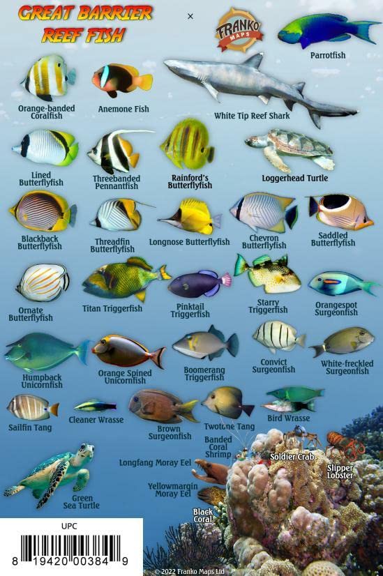 Great Barrier Reef Creatures Guide Waterproof Fish Card Franko